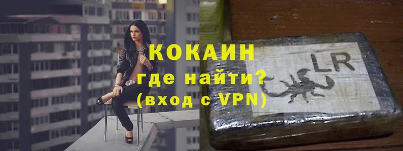 COCAIN Эквадор  купить наркотики цена  Новодвинск 